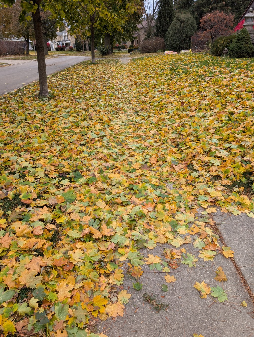 Tell us a nature&nbsp;story…